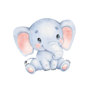 Daxiang Forever Free VPN, 象类动物永久免费梯子加速器