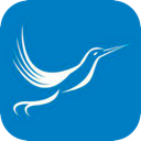 Fengniao Forever Free VPN, 蜂鸟应用程序永久免费梯子加速器